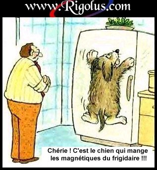 attention, chien magn&eacute;tik!